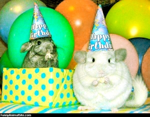 Funny-Animals-Party-Balloons-4_Fotor